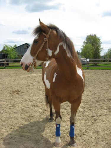 Mon Baby qui gagne bcp en muscle :D