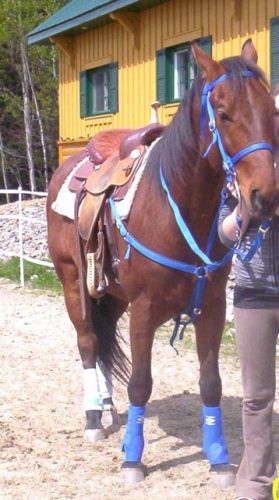 Avec Son Equipement :P