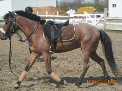 c le bau dude, que je longais!! J'aime trop sa position!!:)