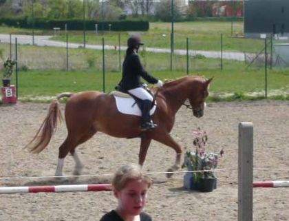 zeo et moi au trot