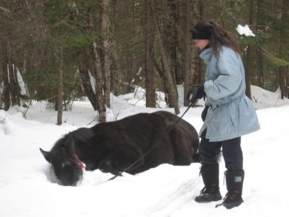 HA ! la premiere trail  Faut essayer hors des trails!!!