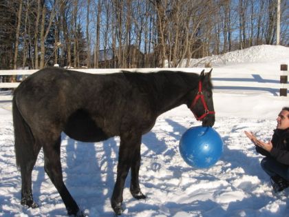 Donne le ballon...