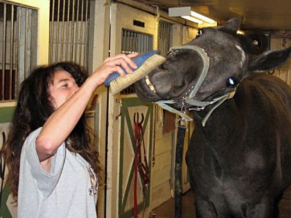 Ha! la brosse j'aime ca !