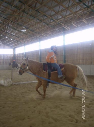à l'envers sur le dos d'un cheval