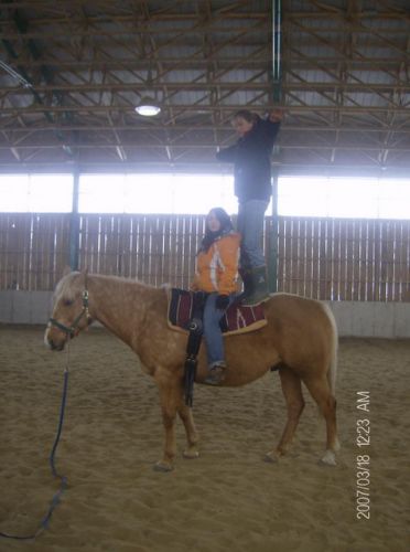 Debout sur le dos d'un cheval