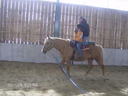 au trot