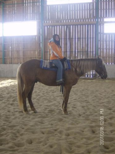 Cavalière dans un manège
