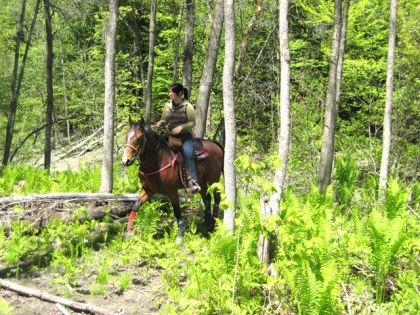 Mission et moi dans les sous-bois sur le bord de la...