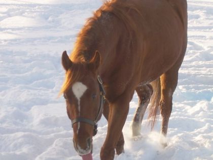 Mon ptit bébé de maintenant 5 ans dans la neige cet hiver!