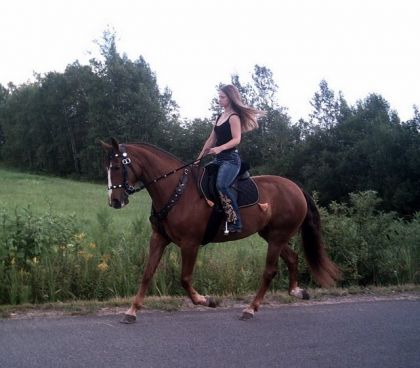 Moi et ma jument au trot...Yahouuu