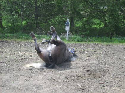 Kin moi aussi ma Pouliche quise roule ... lol