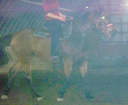 Spirit pendant son dressage