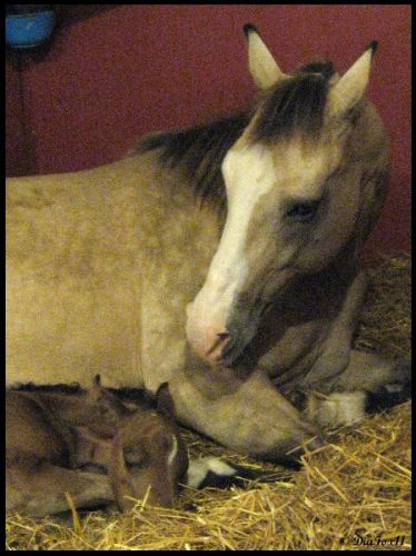  Tendresse maternelle