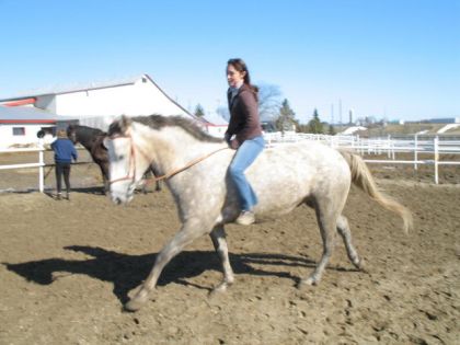 Cavalière sur un cheval au printemps