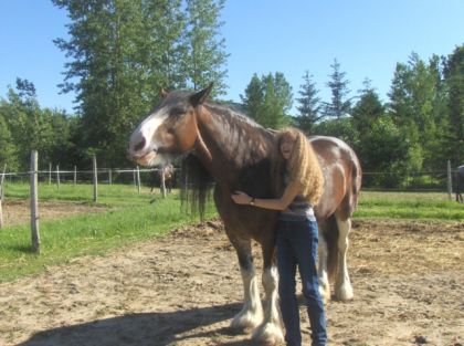 Joly adore se faire grattouiller :)