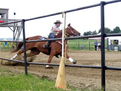 tour de ring gymkhana Wotton! belle malgré la pine!