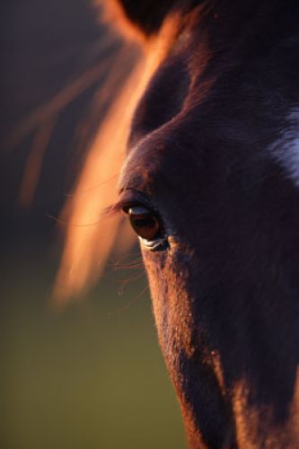 wooww ! Je trouve cette photo magnifique! pas vous ?