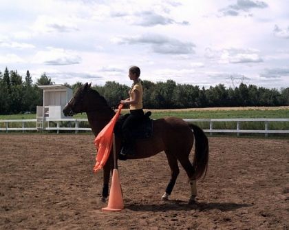 Moi et ma jument à des jeux équestre amical...
