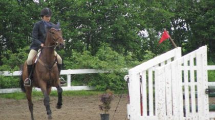 concours r&eacute;gionnal la licorne- photo prise par moi