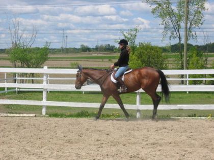 Encore une belle photo de moi et mon gros Golden Fox !
