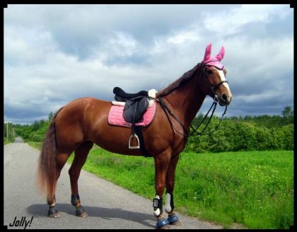 Jolly avant de partir en rando de cross sans obstacles...! LOL .