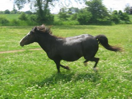 Ma belle et tendre Fanny. Ayé de bonne pensé pour elle...Elle...