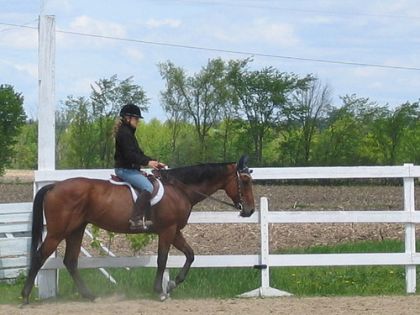Mon beau Golden Fox et moi ! <3