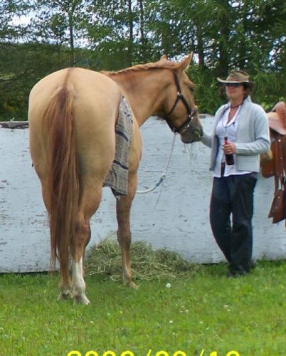 Mélanie et son nouveaux cheval Tao a la randonnée du festival...