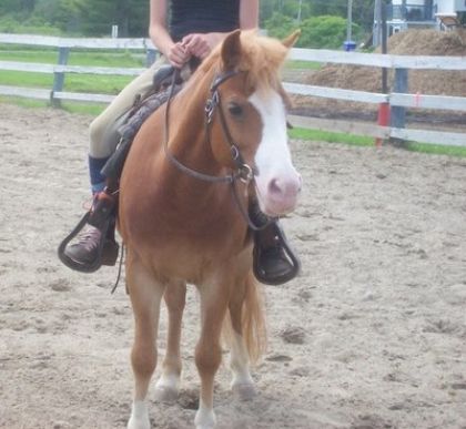 moi et mon poney
