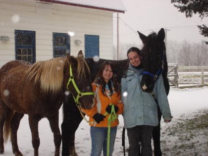 Deux filles et deux chevaux en laisse