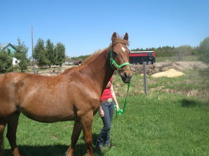 Kina <3 Beaut&eacute; fataleee. (: Jvnais touut juste D'la laver! =D