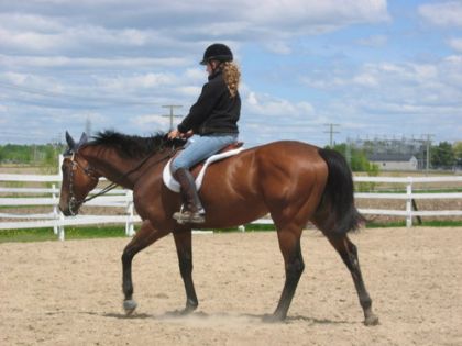 Encore moi sur mon gros Golden Fox !
