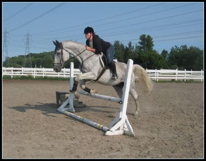 Waw premier saut avec Hanz et je le trouve pas mal du tout !!...