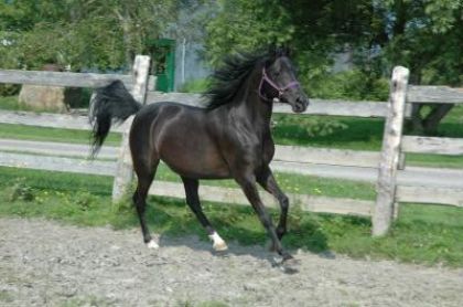 Ma belle Lacey!