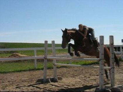 moi et mon cheval, oxer 3'6