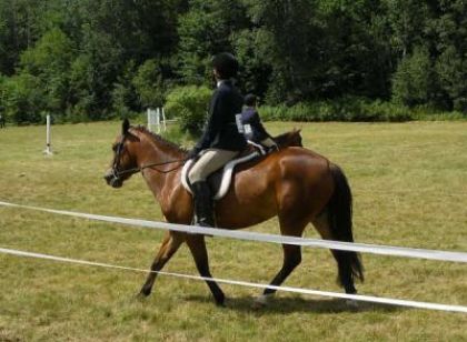 mon ancienne ponette Pomme d'api, et moi, en concours a...
