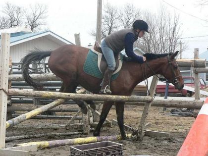 mon cheval et moi en train de tomber....intelligent comme il...