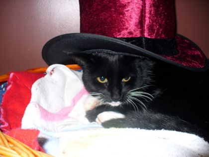 ma belle fripou avec un chapeau moi qui est prise la photo1