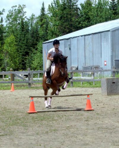 Cherios et moi en entra&icirc;nement d'obstacle le 11 juillet !