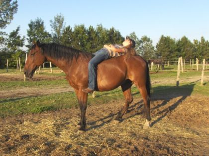 L'&eacute;quitation, rien de trop stressant Ha Ha ;)