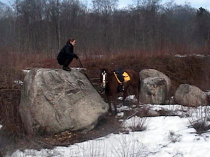 Un cheval près de grosses roches