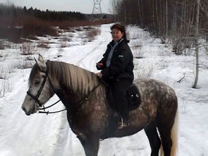 Percheron monté en hiver