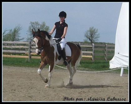 Un vraie de vraie poney de dressage!!!