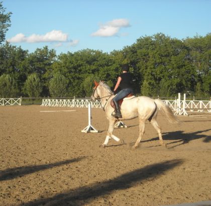 Moi et Dexter dans un exercise au trot!!! Aggrandissez!!