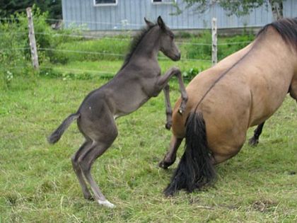 Navarro en plein jeux avec sa maman..