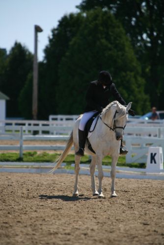 on dirait que moi pis mon cheval on fait un salut! -- arabe de...