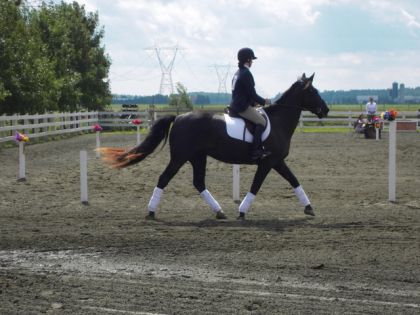 River et moi à notre premier concour à VIE en Dressage...