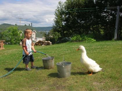 Mon fils et son canard..
