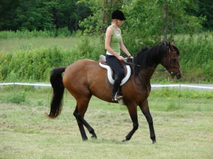 Mon tout nouveau cheval! Ça me changera un peu de mon...