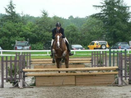 Mon cheval dans son premier concours à vie samedi dernier!!